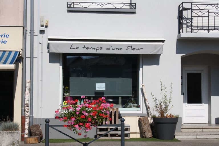 LE TEMPS DUNE FLEUR 1 768x513