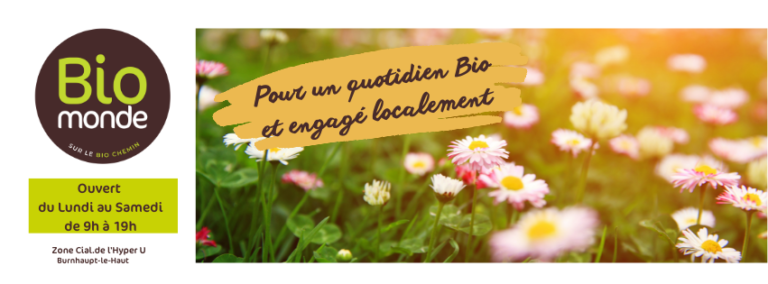 285144141 313119284349646 8999480928175017088 n 768x284